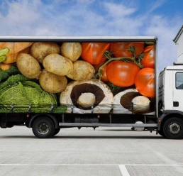 末端91视频一区