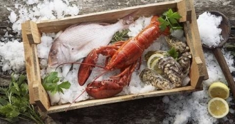 城市91视频一区