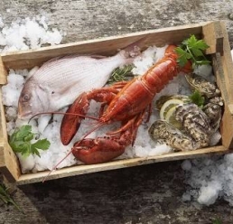 城市91视频一区